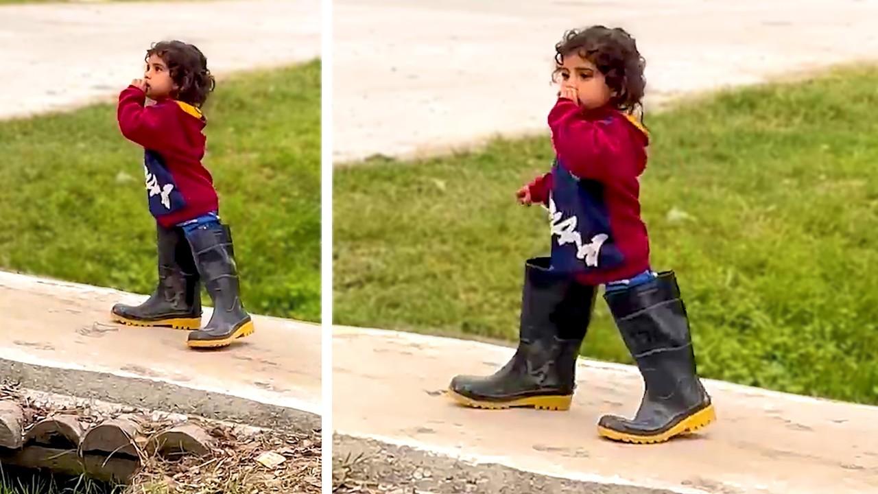 Embedded thumbnail for I migliori video del 2026 con reazioni adorabili di animali - Stern DuTube