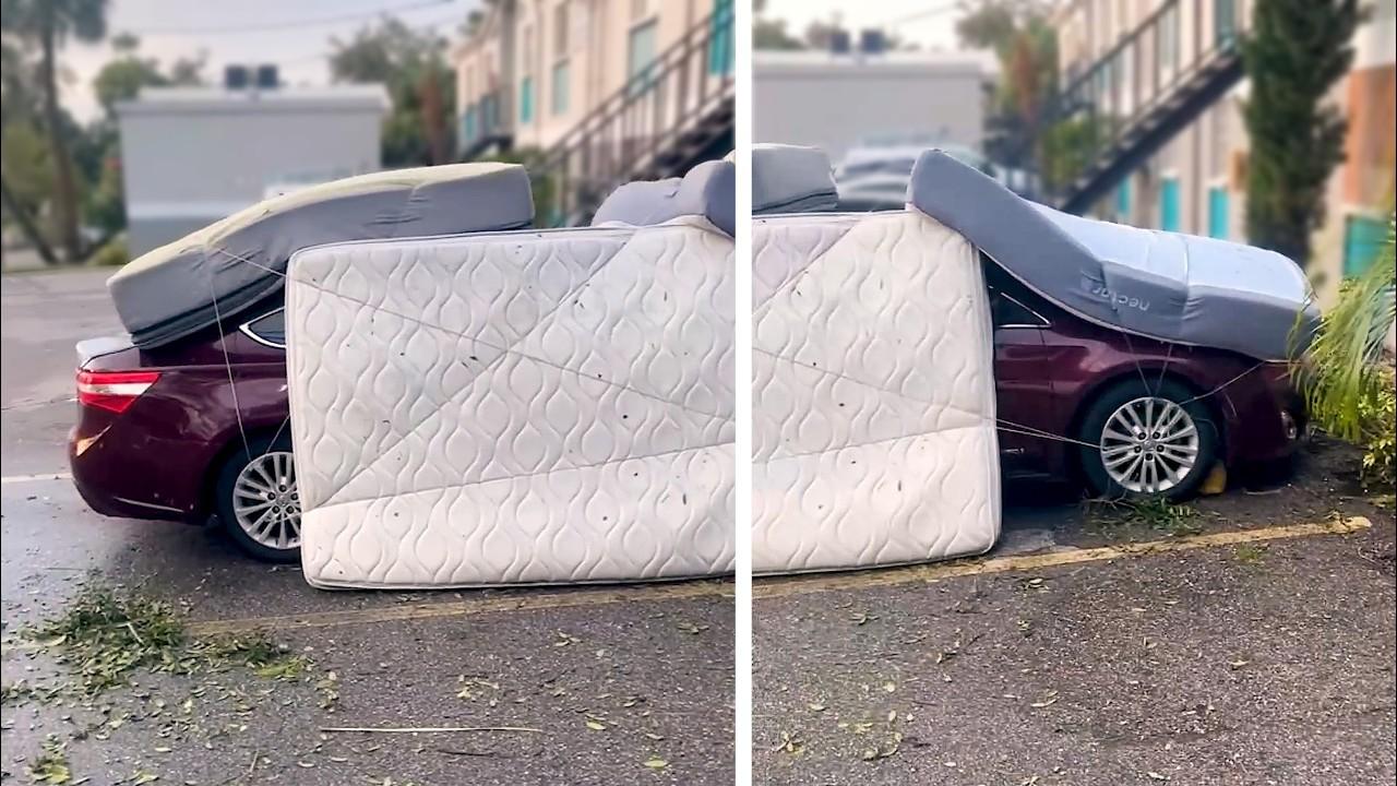 Embedded thumbnail for I migliori video di sempre: scopri i momenti indimenticabili e i momenti di animali carini