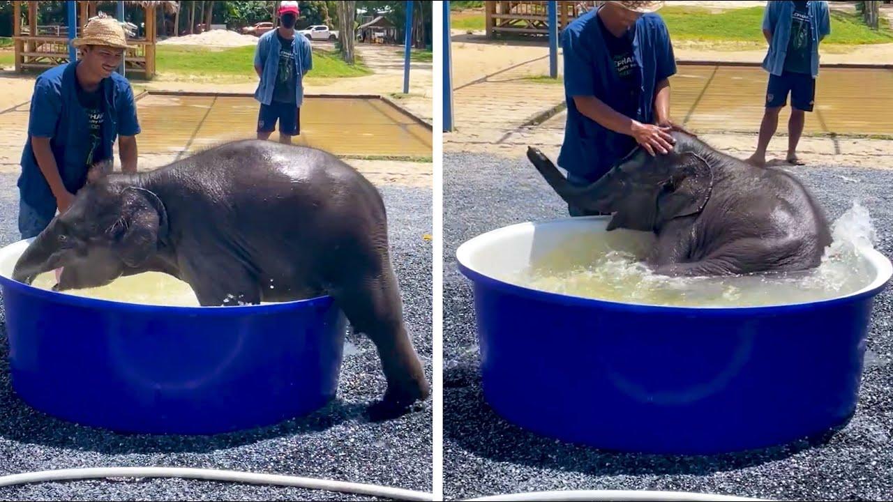 Embedded thumbnail for I migliori video del 2023 (Parte 2) || Stern DuTube - momenti insoliti