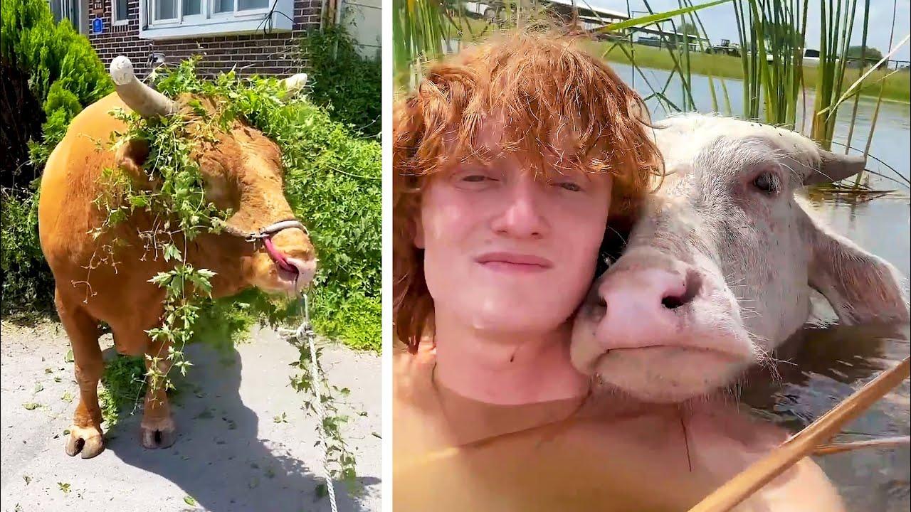 Embedded thumbnail for I migliori video del 2025 con reazioni adorabili di animali | Stern DuTube