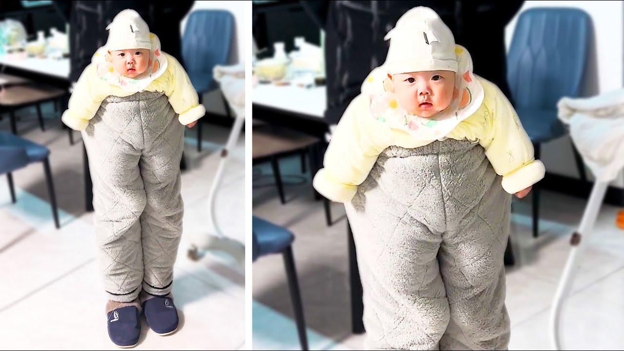 Embedded thumbnail for I migliori video del 2024 (Parte 36) || ✪ Stern DuTube papere animali