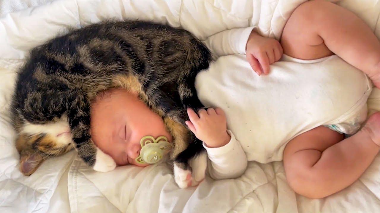 Embedded thumbnail for I migliori video del 2023 (Parte 98) || ✪ Stern DuTube: errori esilaranti da non perdere